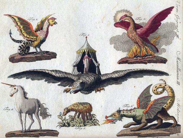 Gemeinfrei, https://commons.wikimedia.org/w/index.php?curid=940684 Fabelwesen. Darstellung F. J. Bertuch 1806: Basilisk, Vogel Roch, Phönix, Einhorn, Skythisches Lamm, Chimäre