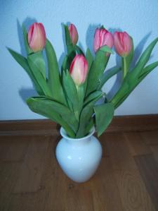 Danke für die Blumen (und Schoggi) © privat